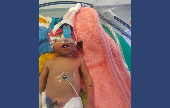 baby-of-rohini-pic baby-of-rohini-pic