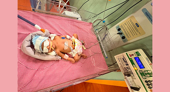 baby-of-vaishnvi baby-of-vaishnvi